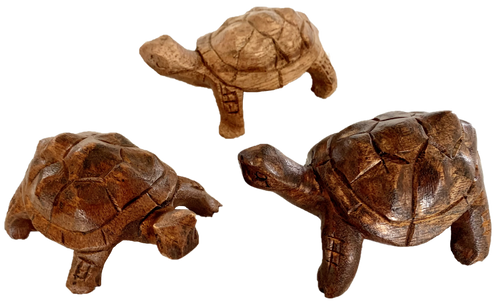 Turtles/3pc
